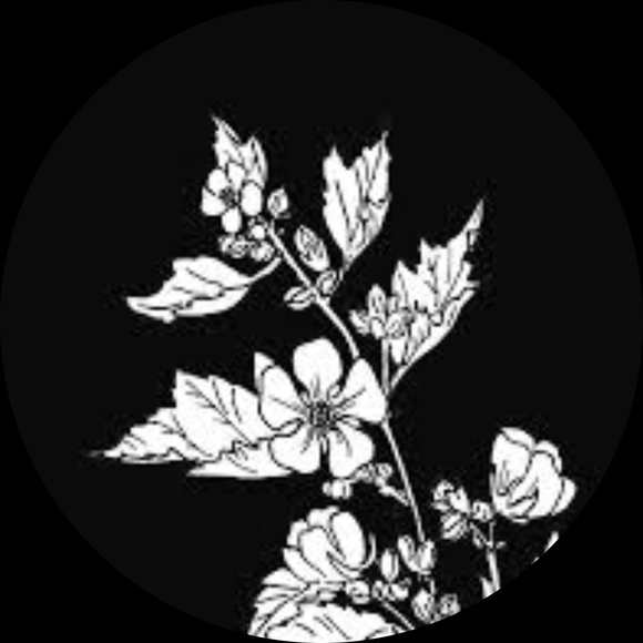 lisam312
